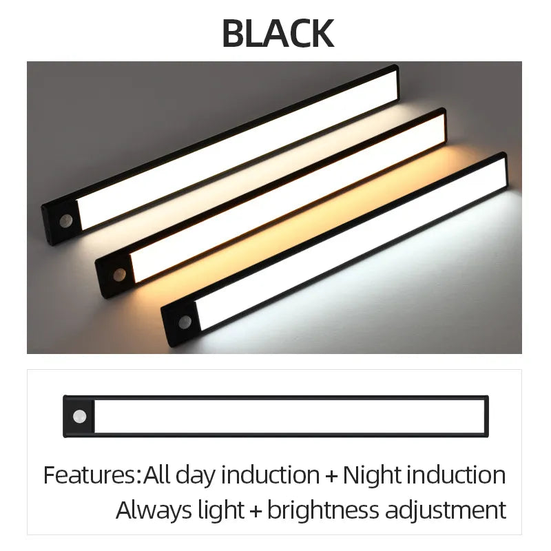 41955314794550|41955314827318|41955314860086